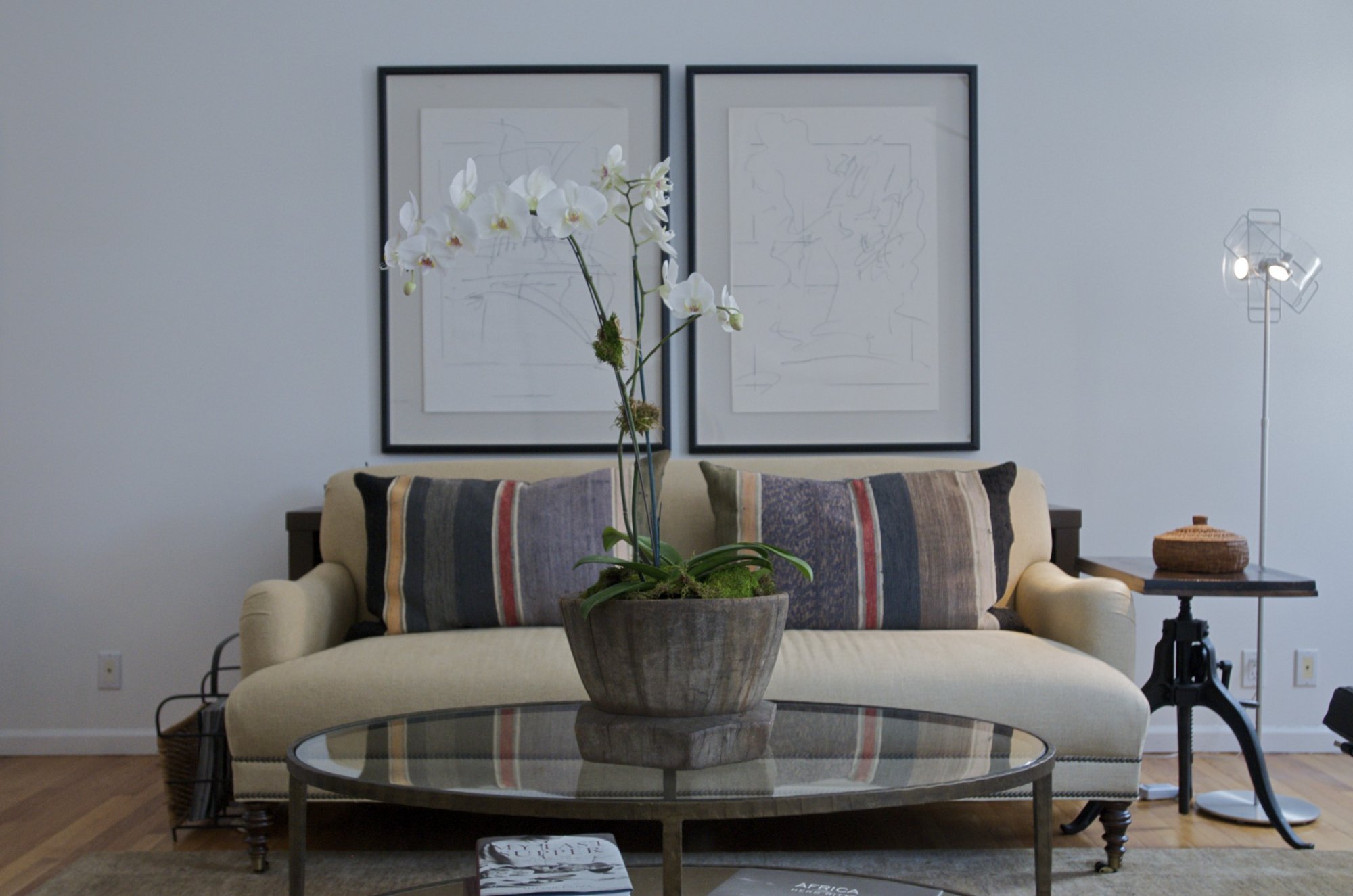 centerpiece-for-round-glass-coffee-table-featuring-single-big-white-orchid-on-natural-vase-filled-green-moss