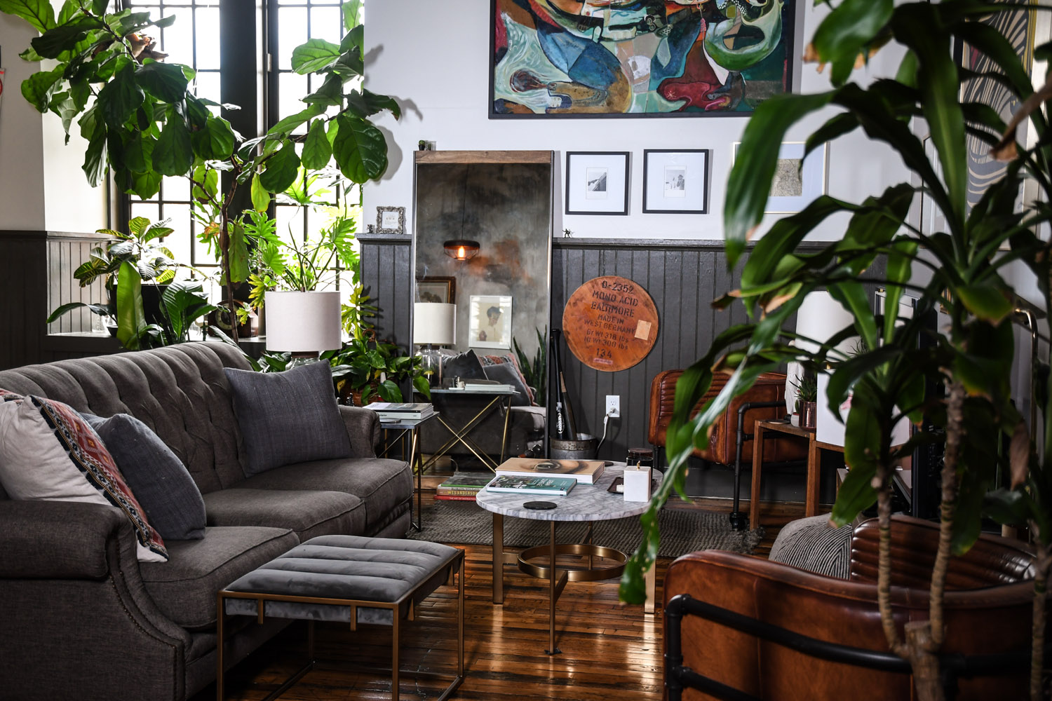 plant-living-room